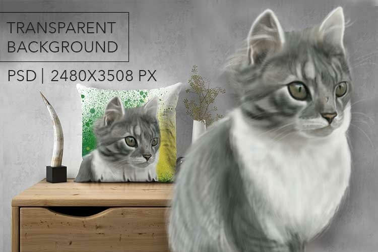 Illustration of fluffy cat PNG, PSD 300DPI (2202567)