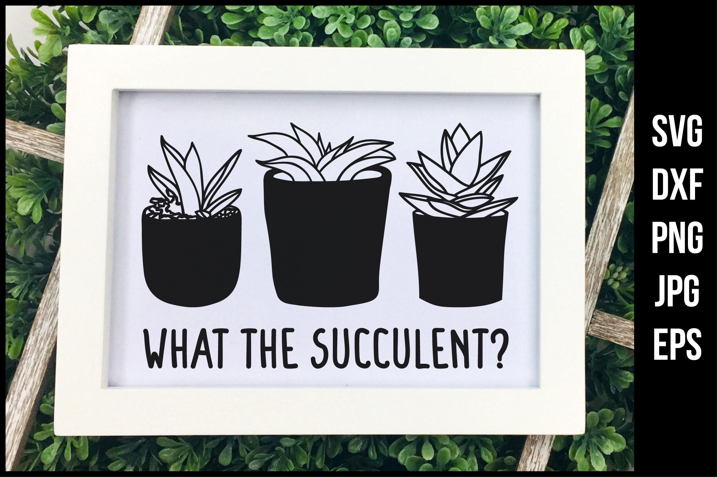 What the succulent - Funny SVG | Succulent SVG