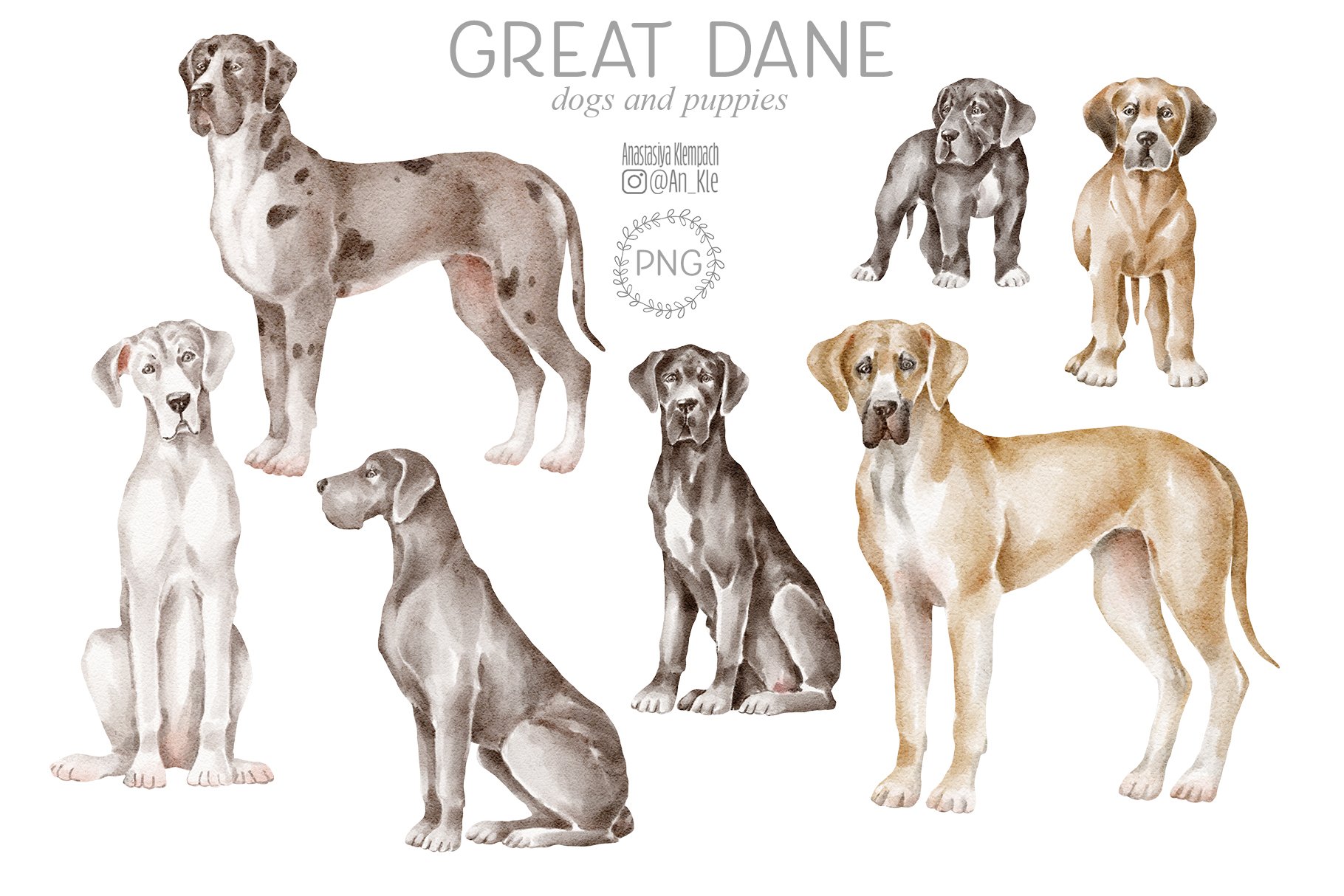 Great Dane dogs (2226288) Illustrations Design Bundles
