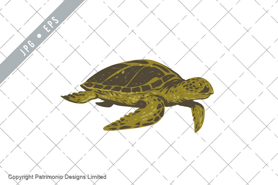 Sea Turtle Side View
