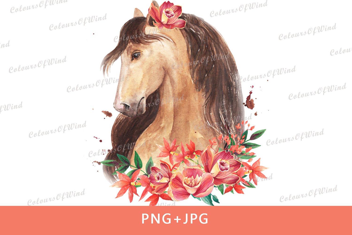 Floral horse PNG sublimation download Watercolor horse PNG t-shirt design