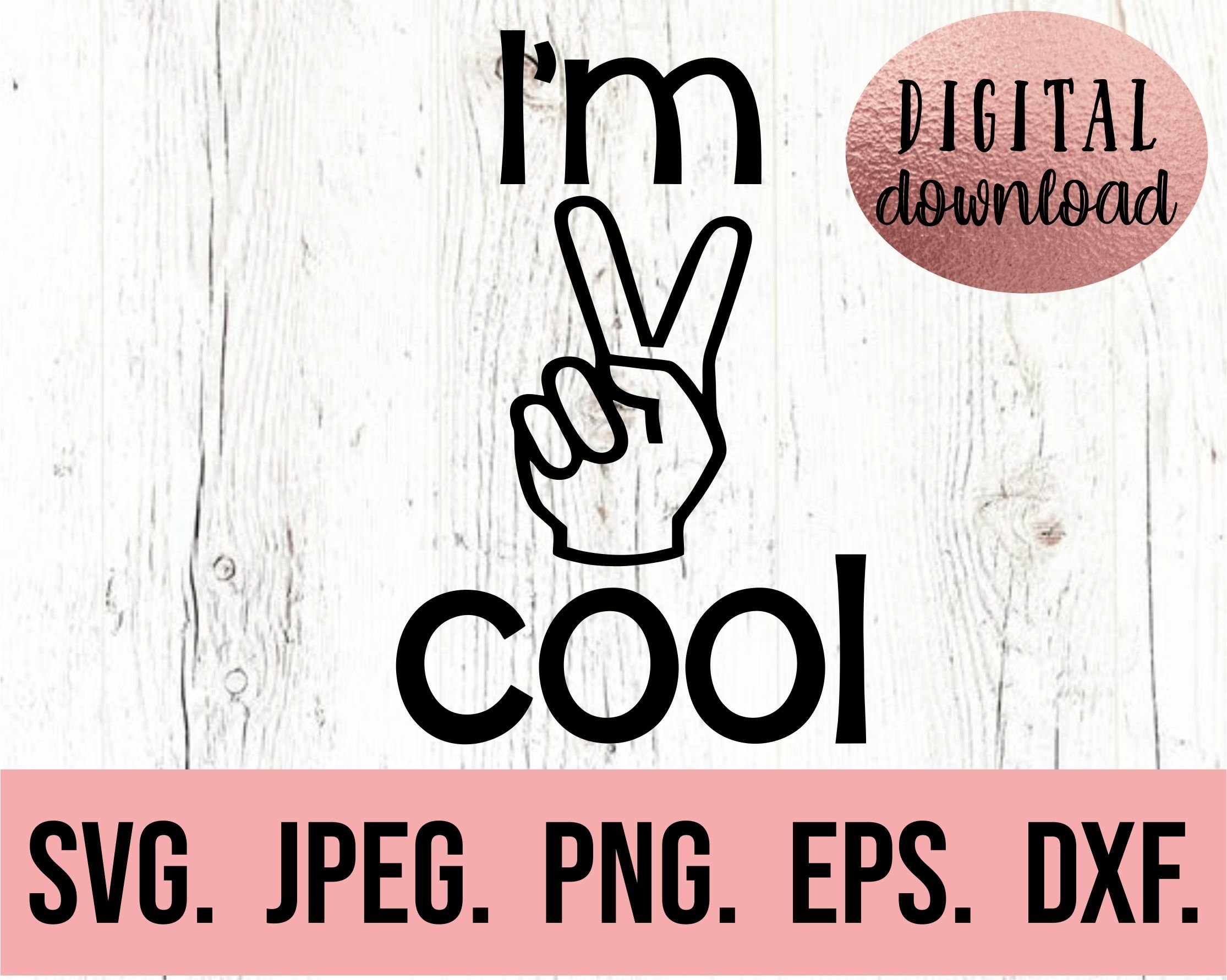 Second Birthday Two Cool Birthday Shirt I'm Two Cool SVG 2nd