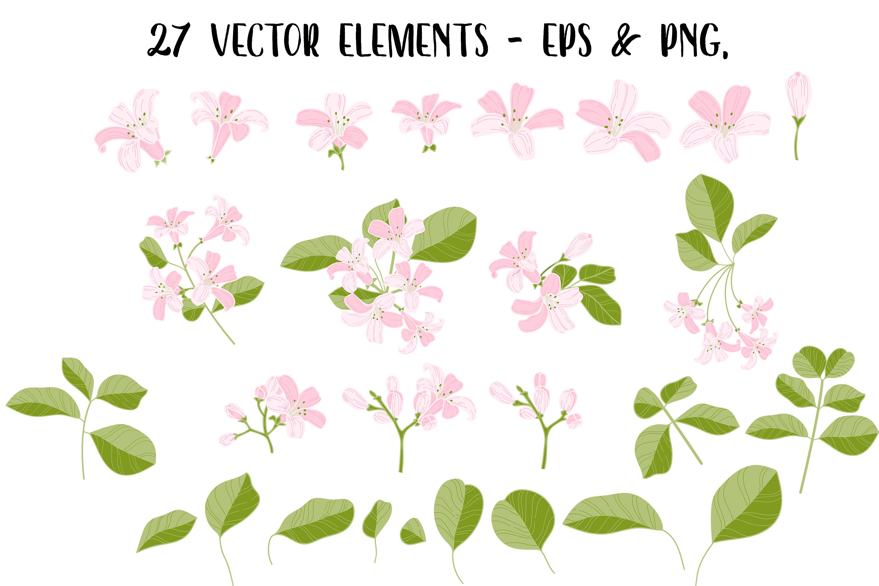 Vector Vintage Jasmine Clipart, Pink, Flower Clip Art, image size:2964x1975