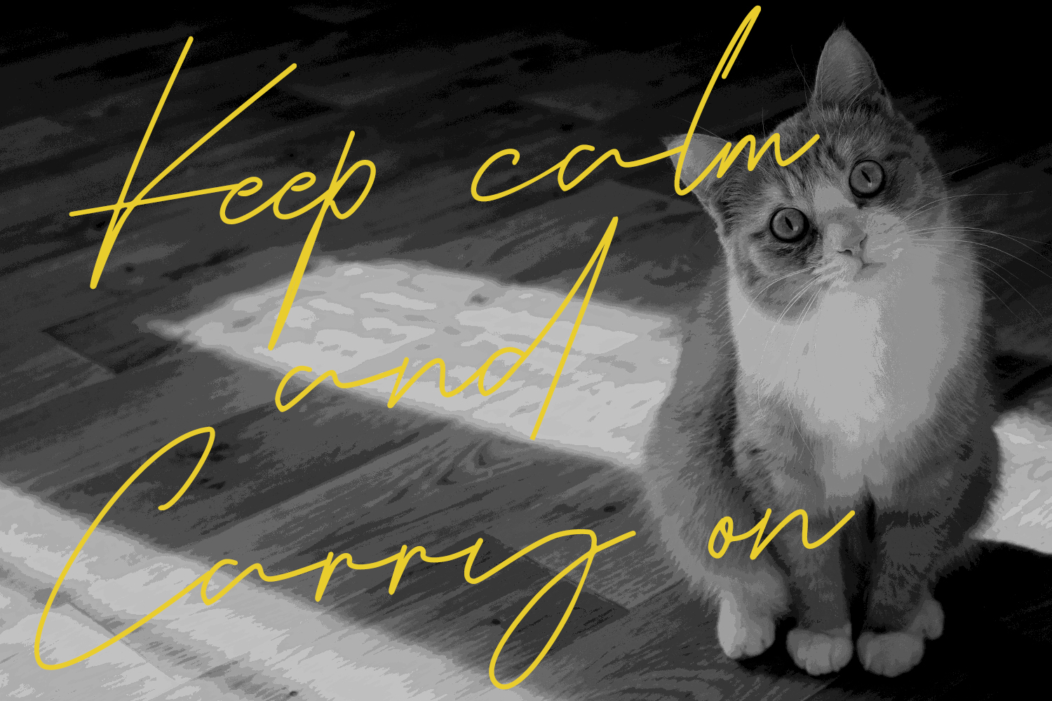 ◆Cat◆ Happy Birthday From The Whole Kitten Caboodle5”x7” Hallmark