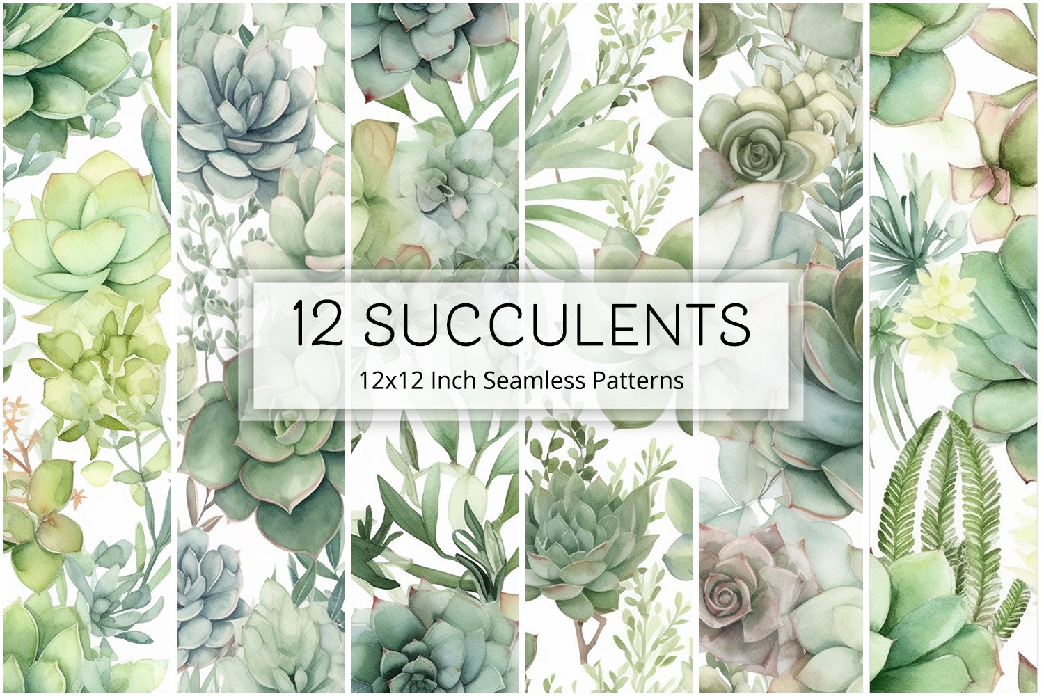 12 Succulent Seamless Patterns / Backgrounds 12x12 (2588352), image size:1500x1000