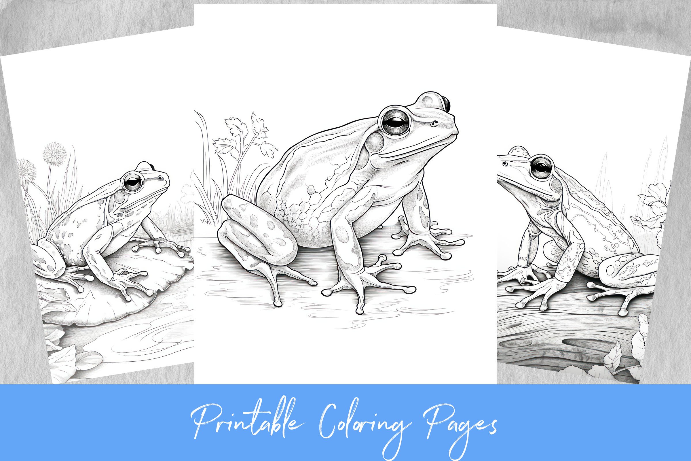 Frogs Coloring Pages