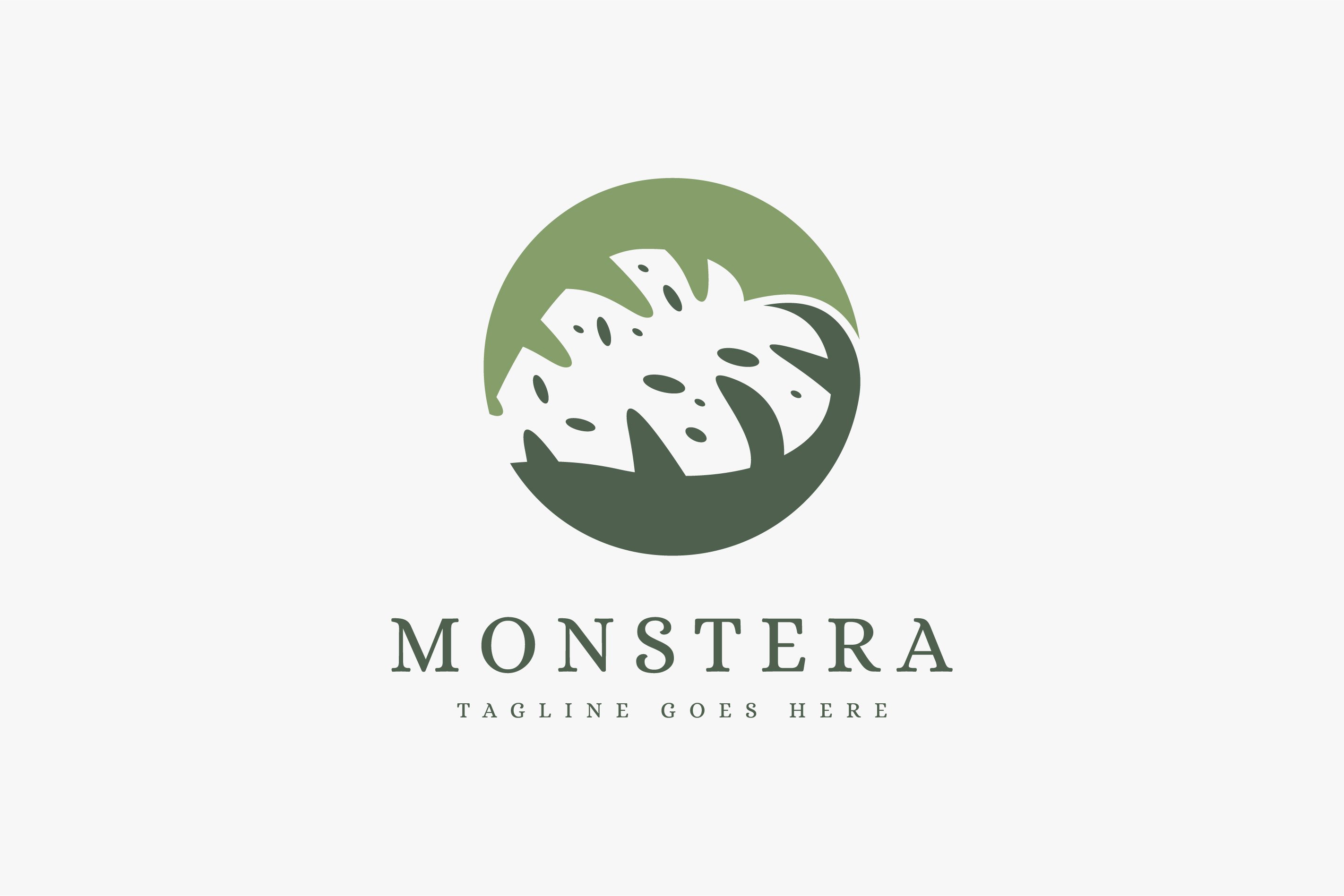 Tropical leaf, monstera logo icon