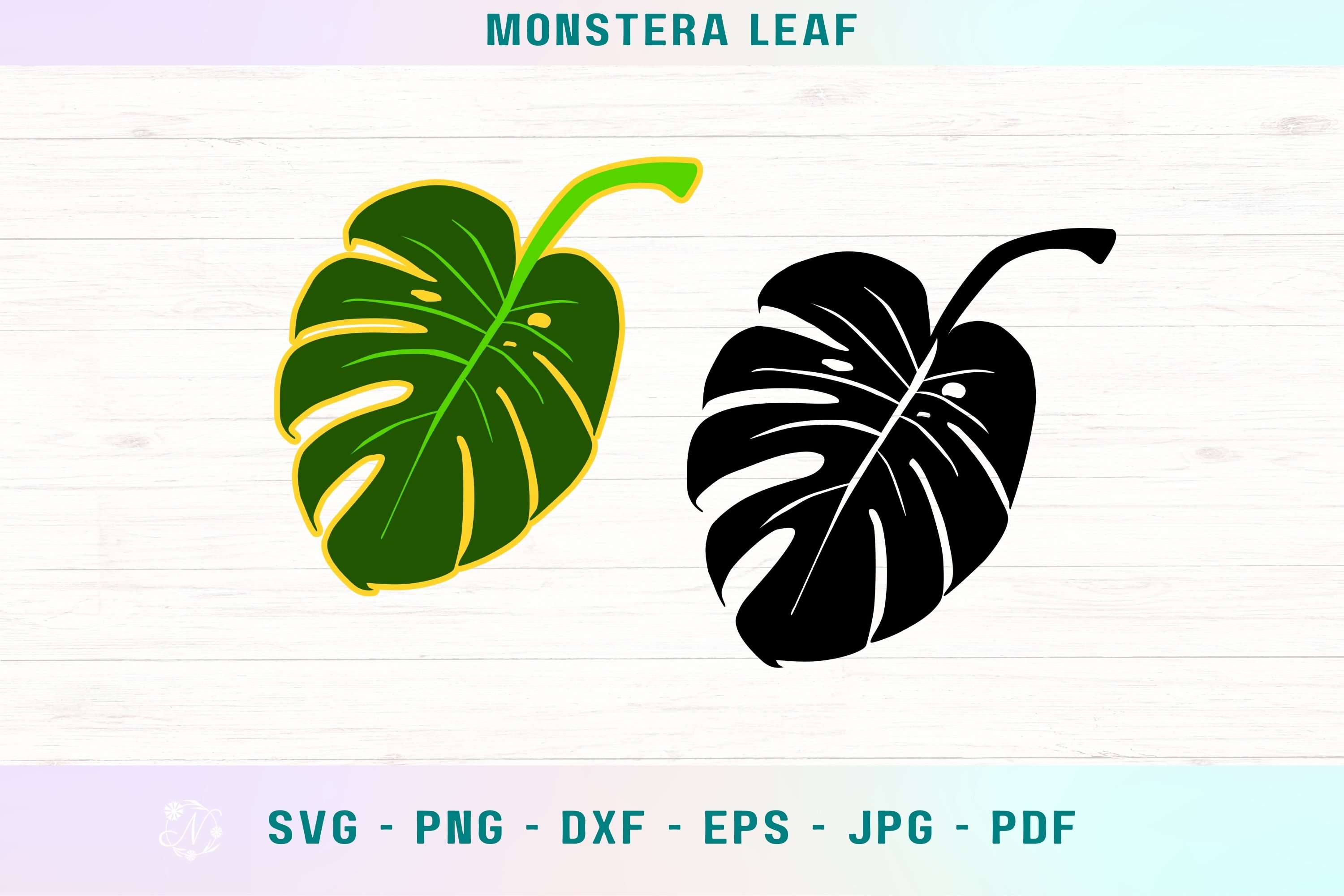 Monstera leaf svg, monstera svg, monstera plant svg