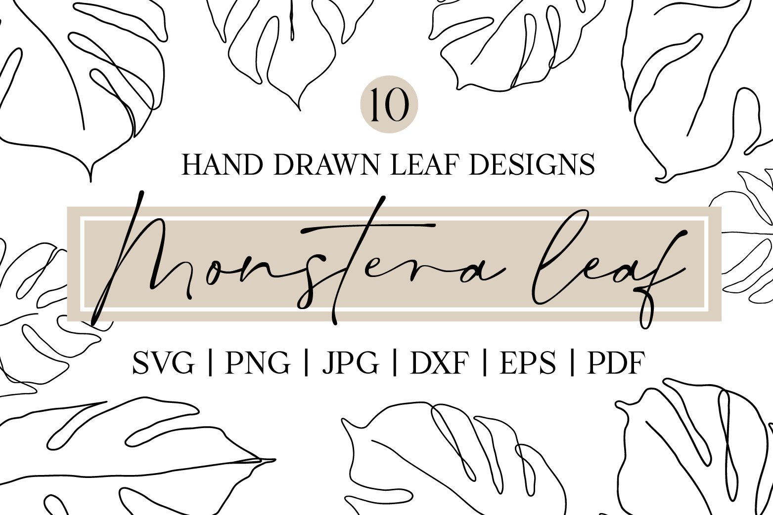 Monstera Line Art SVG | Botanical PNG | By RachelFCreative