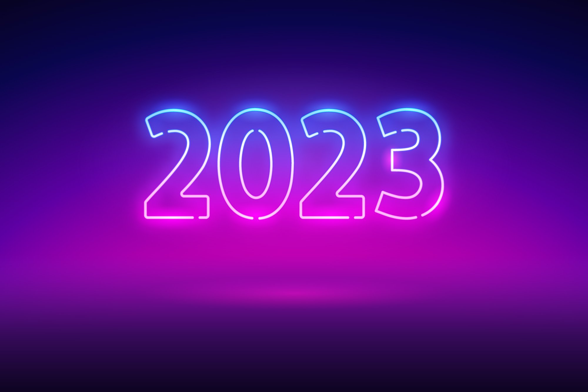 【NEONSIGN】Ne ARGO（2023 New Year Model） NEONdUCK Ne ARGO【2023 New Year Model】 - メルカリ