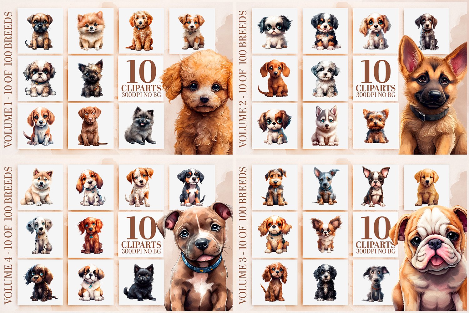 Top 100 Smartest Smartest Dogs Rank Top Smartest Dogs Dog Breed