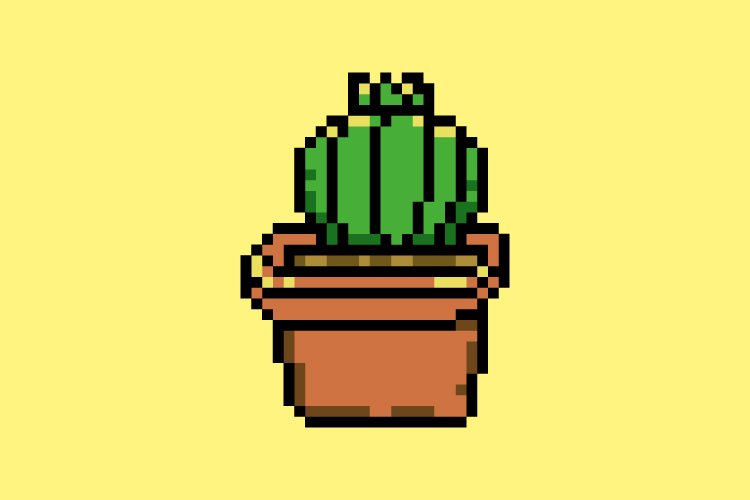 film cactus tucson arizona saguaro cactus film photography print — paulina studio main image 0