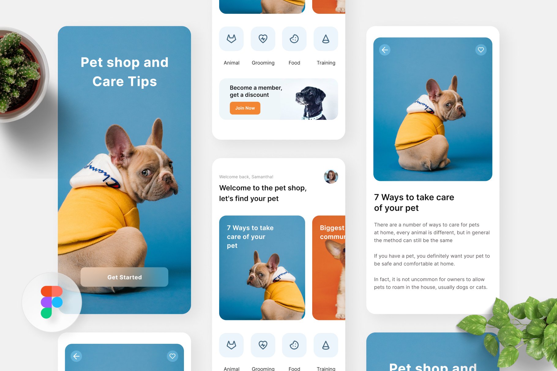 Dog Grooming Blue Dog Boarding And Daycare Dog Daycare Pet