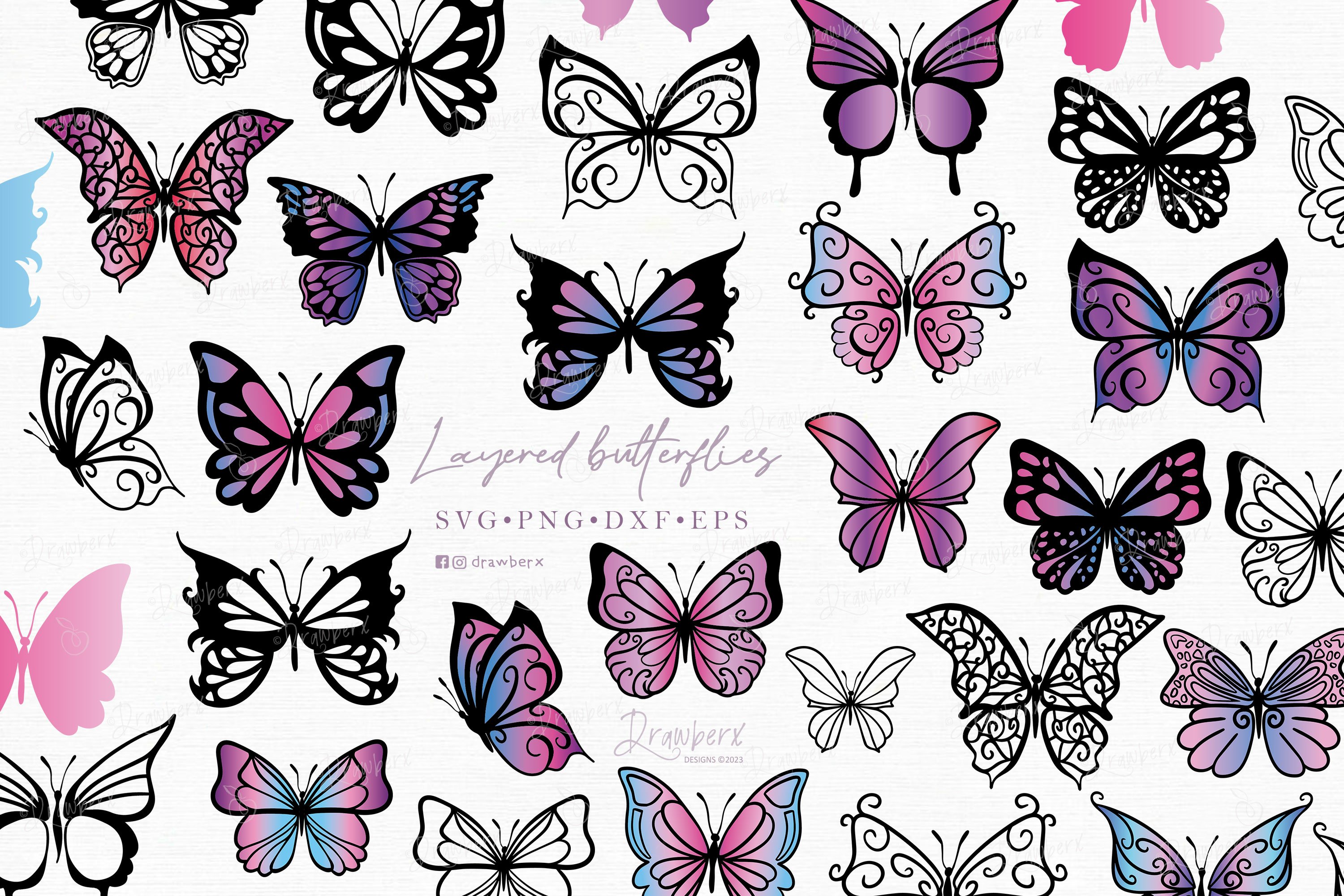 BUTTERFLY - まとめて５点8500円 Exquisite Butterflies