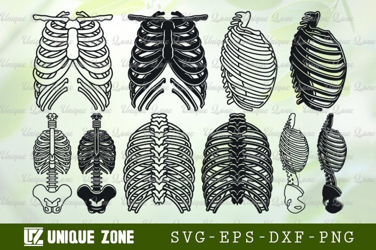 Skeleton Rib Cage SVG Bundle Human Ribs Svg Ribcage Svg 2199516 