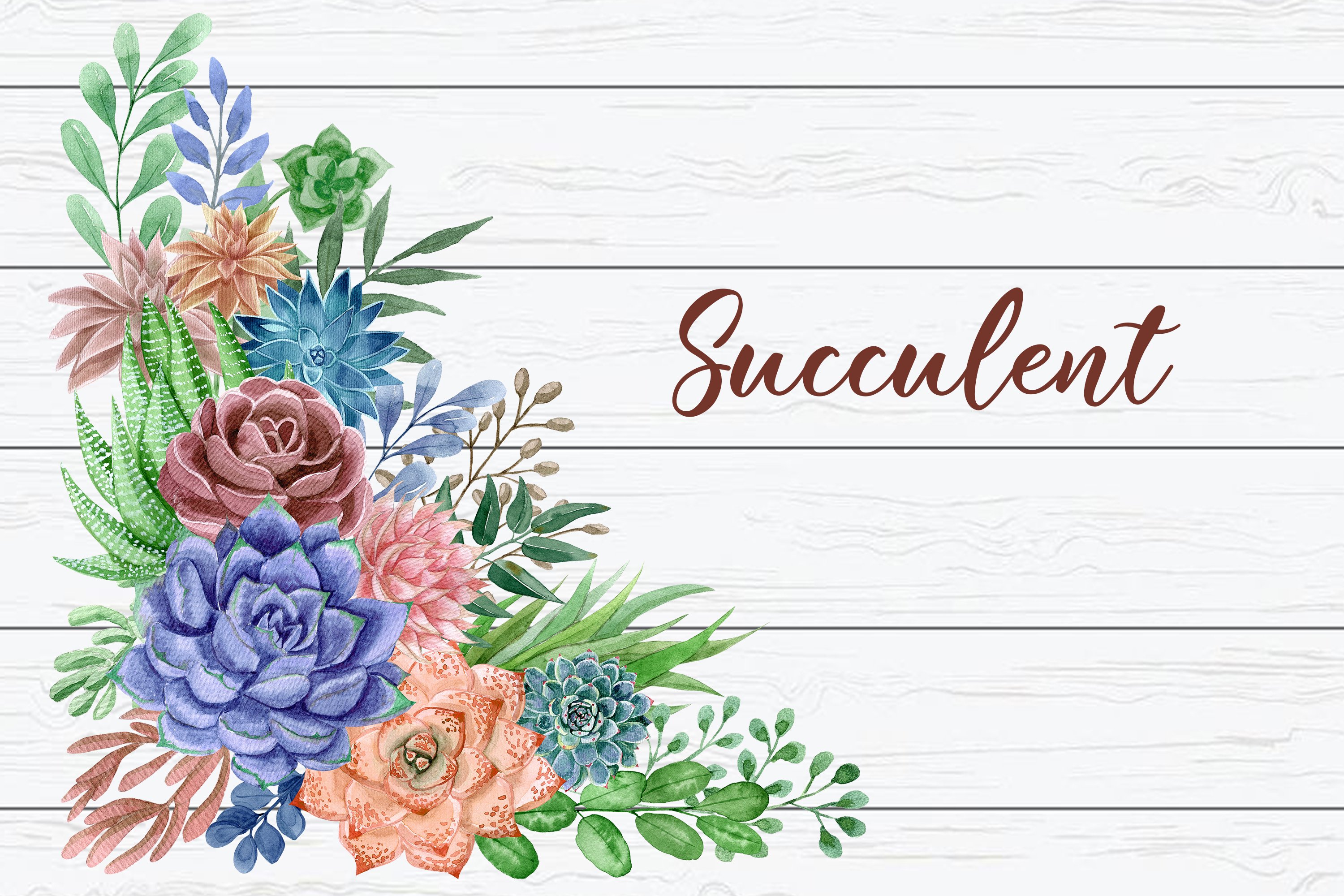 Watercolor succulents. Floral clipart.Flowers of the desert., image size:3000x2000