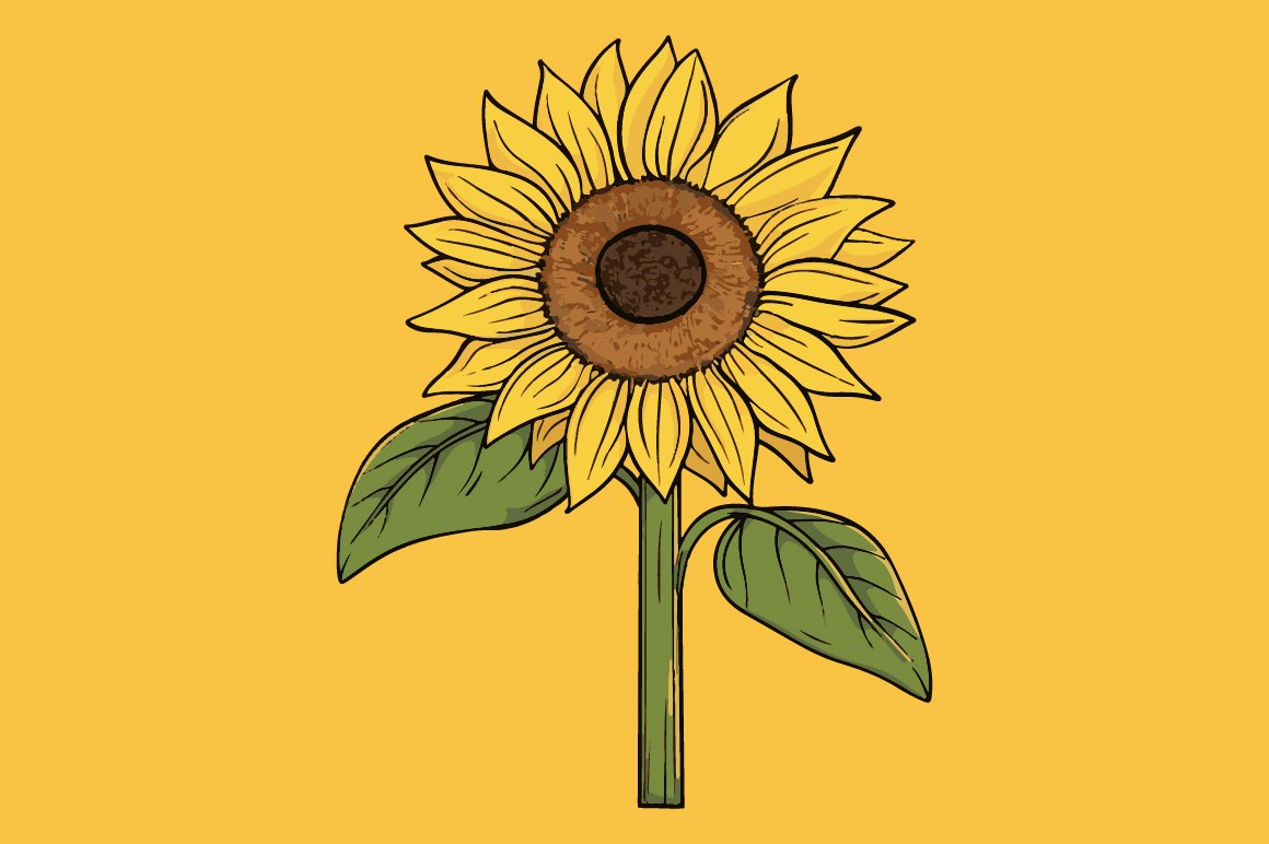 Sunflower (3299123)