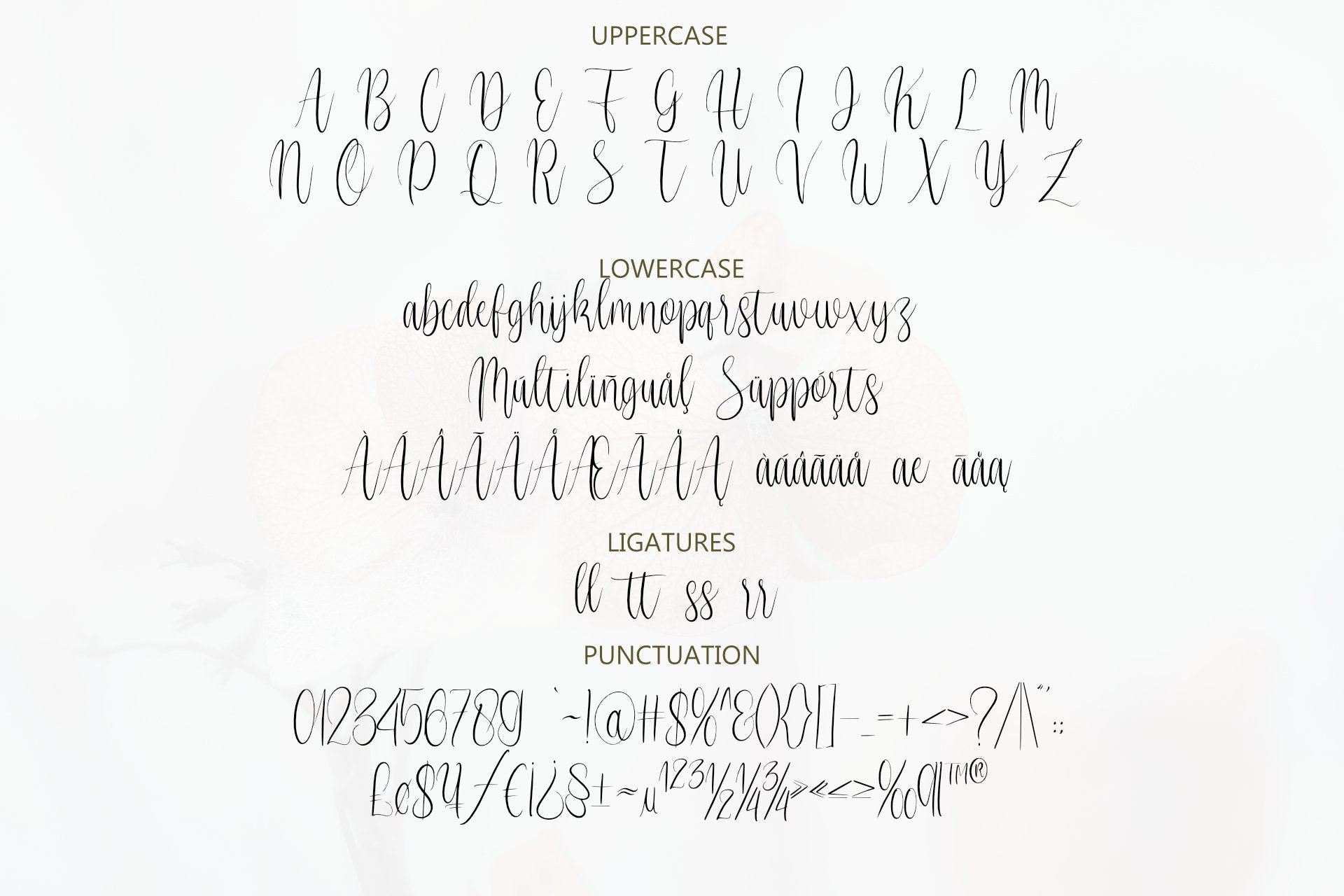 Cursive A Font