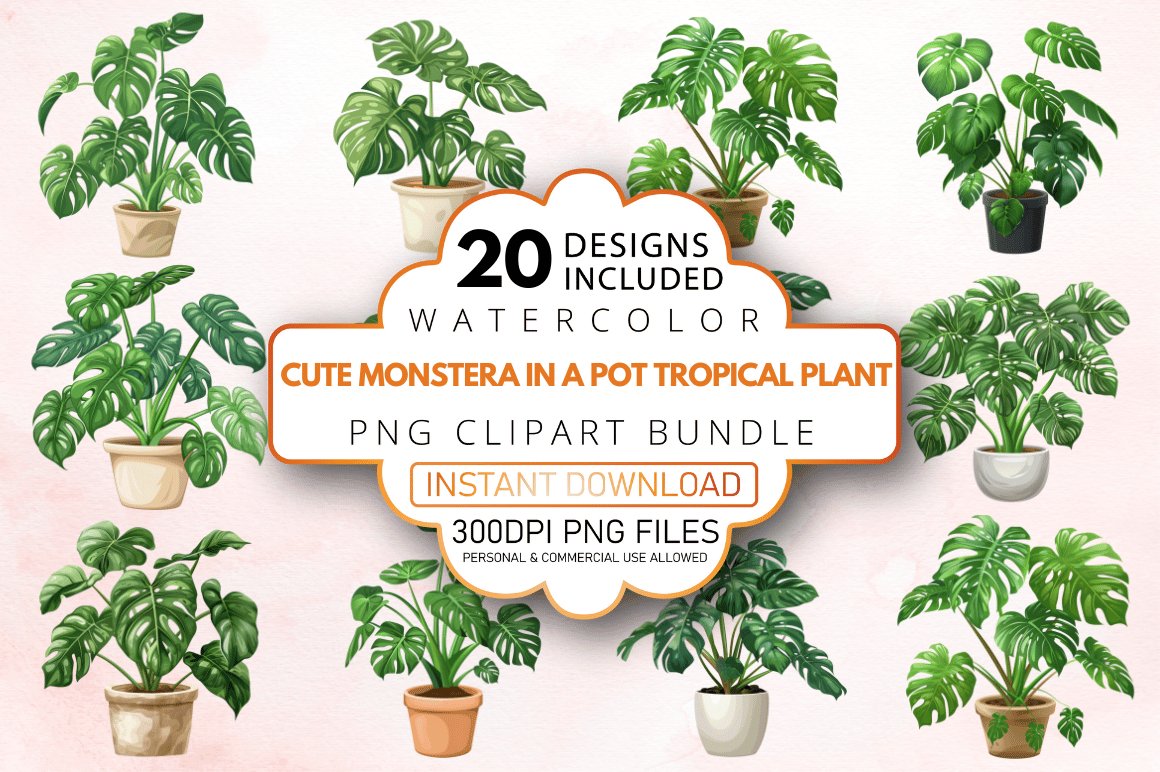 philodendron bipinnatifidum standort Baumphilodendron