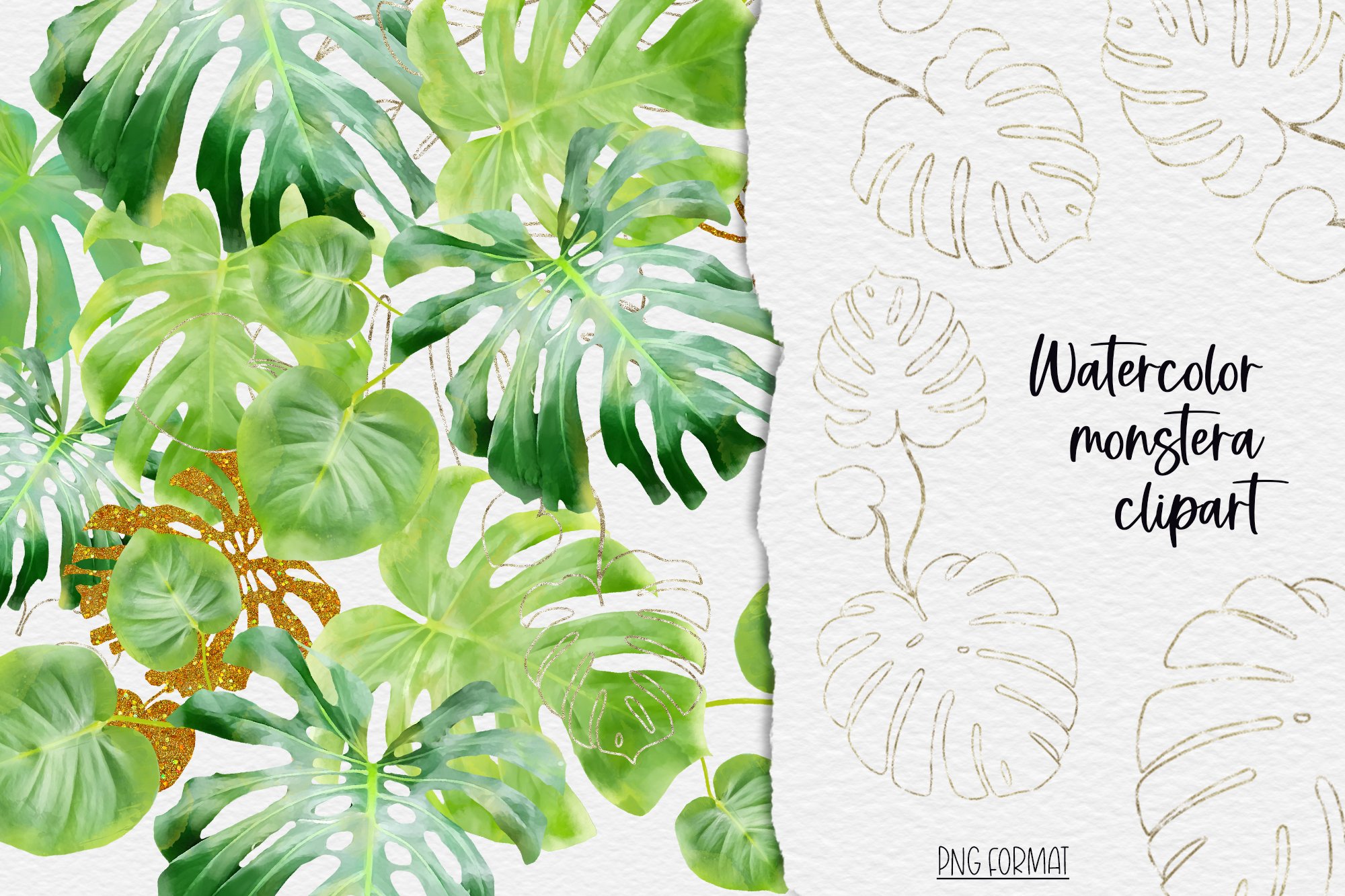 kletternder philodendron pflege Philodendron scandens (Kletter-Philodendron) – Jungle Leaves main image 0