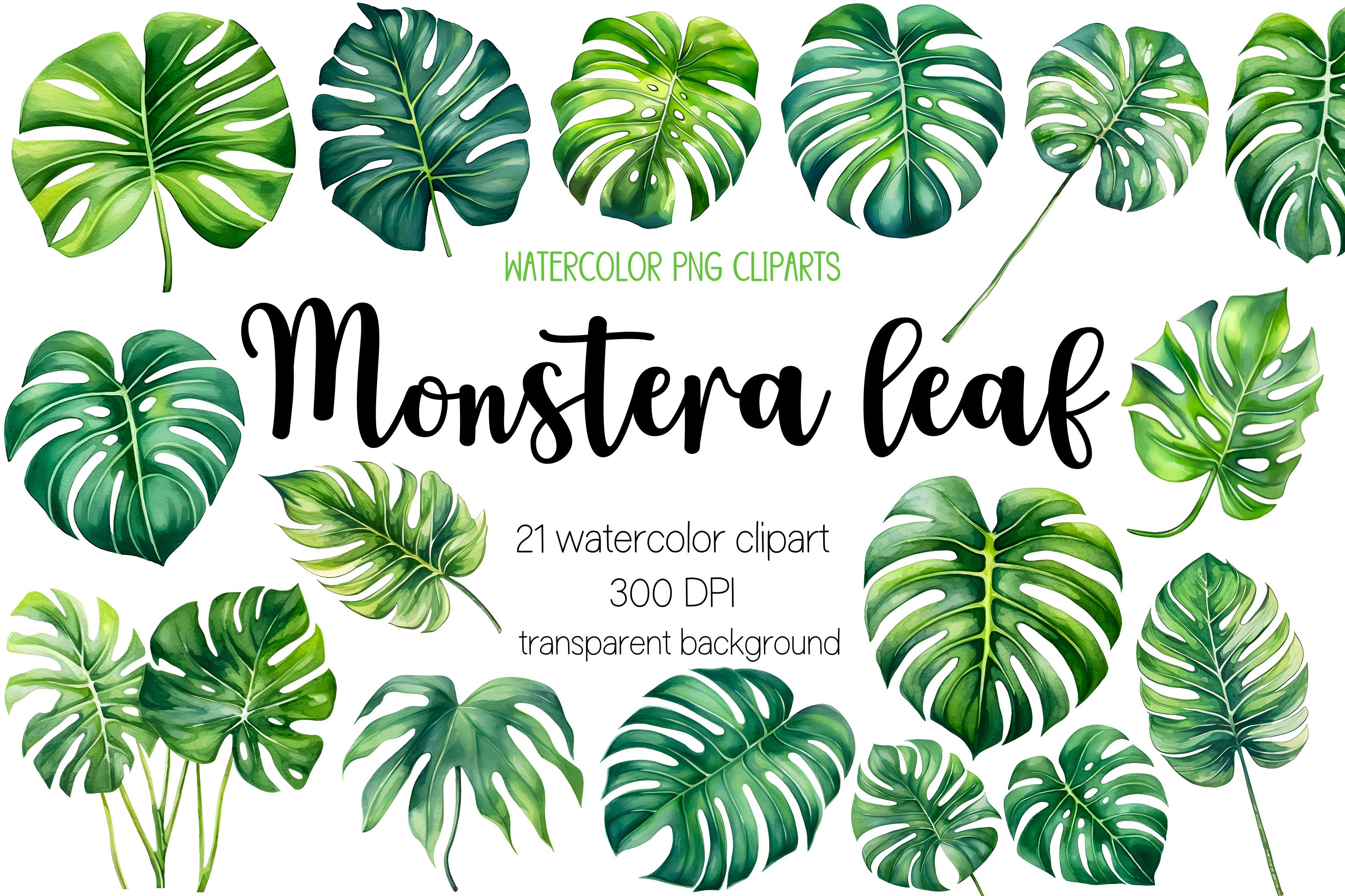 Watercolor Monstera Leaves Cliparts, Transparent PNG