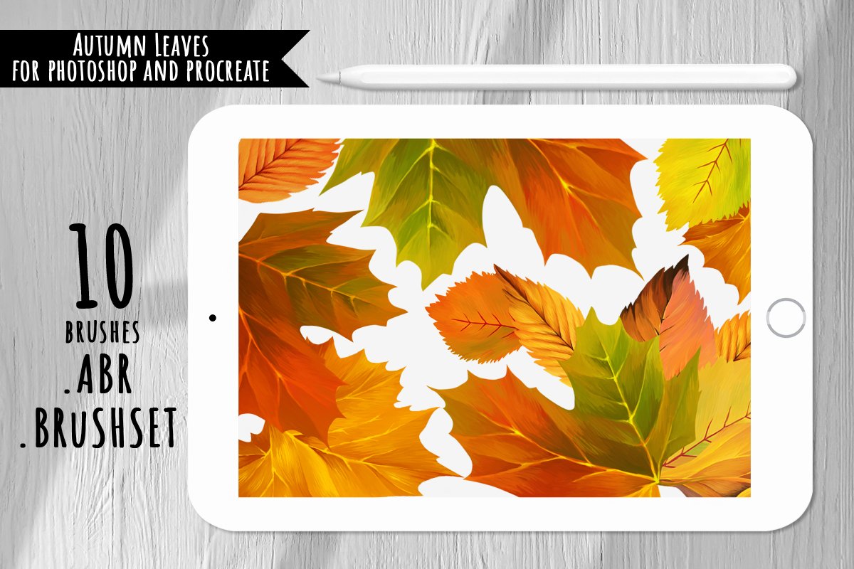 Autumn Leaves Brushes for Photoshop and Procreate