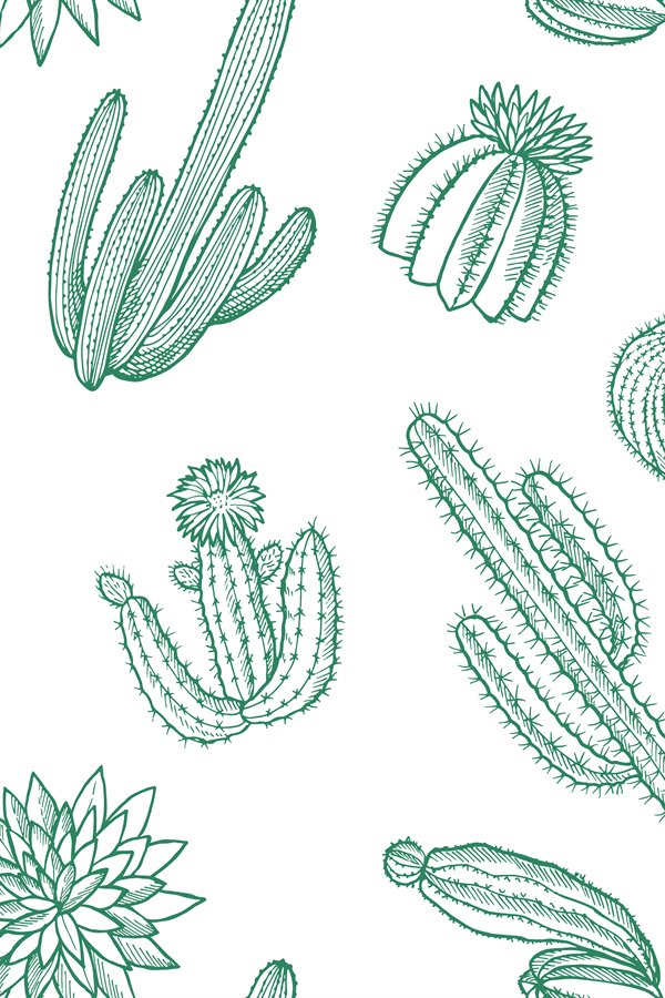 Vector hand drawn wild cacti plants pattern (871815)