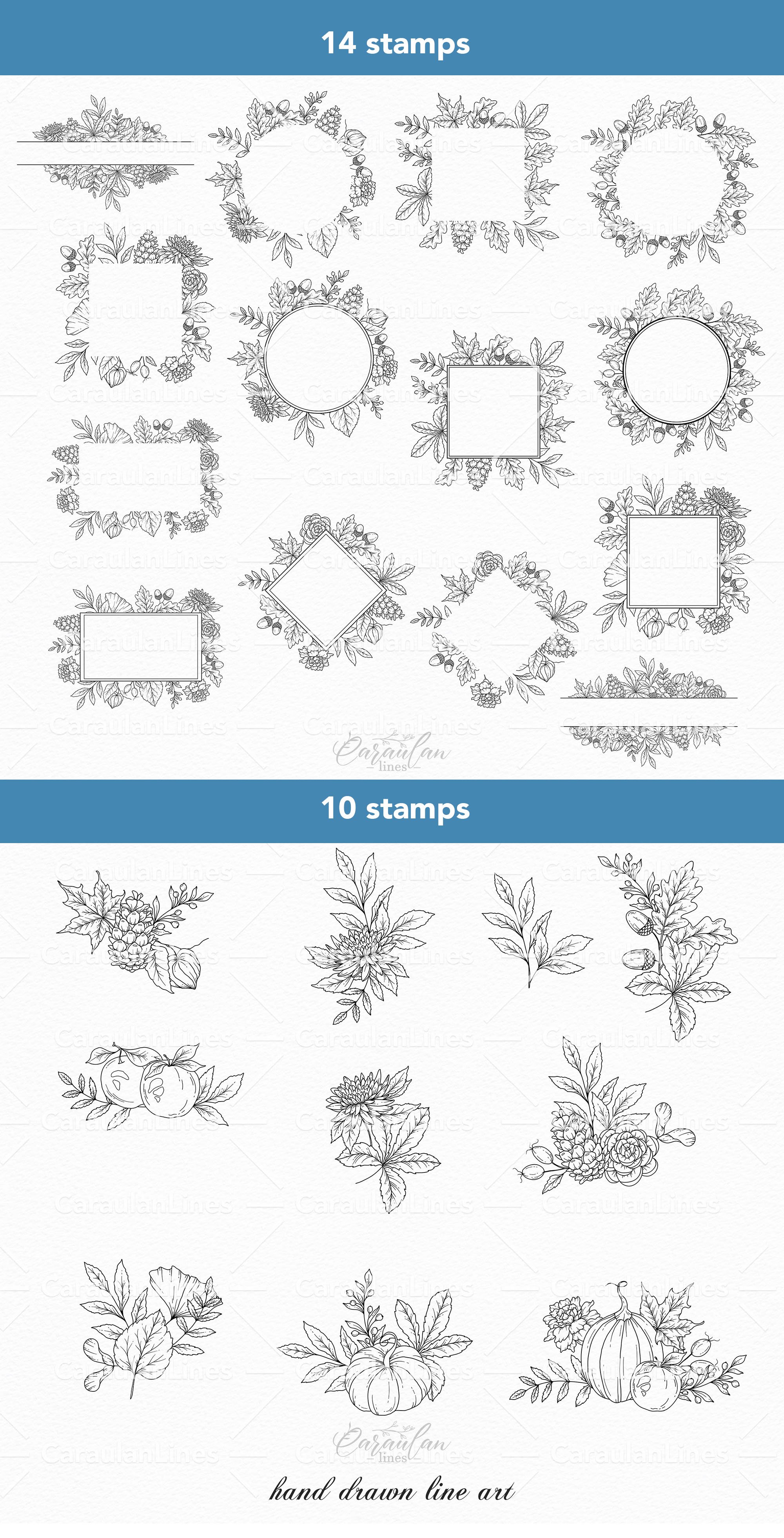 Procreate floral stamps, Fall foliage procreate stamps