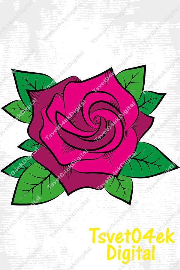 Rose bud illustration (1714571)