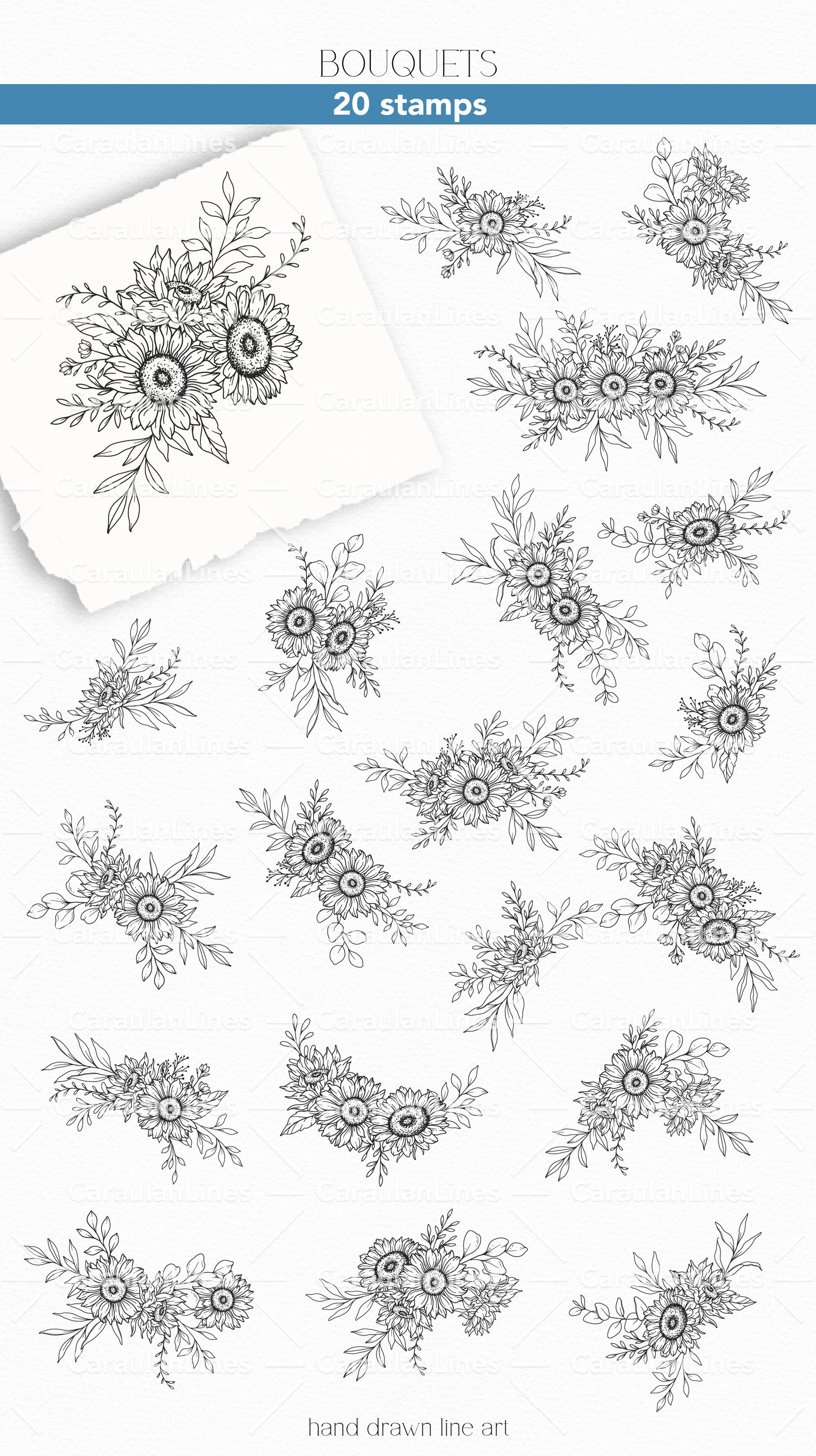 Procreate floral stamps, Sunflowers procreate stamps