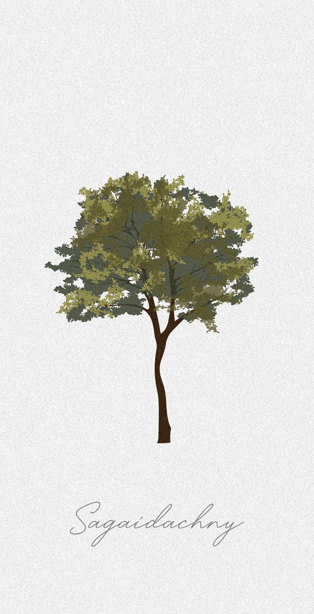 Vector flat trees Clipart - 20 plant illustration _PNG_SVG