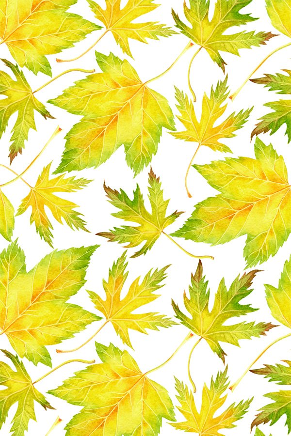 Seamless Watercolor Pattern Fall Maple Leaves JPG (1029950)