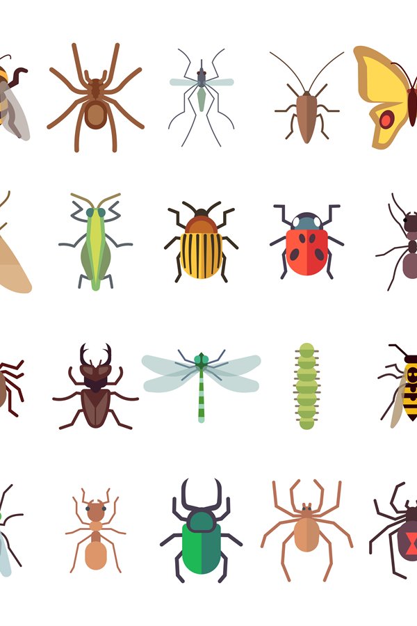 Flat insects icons set. Butterfly, dragonfly, spiders, ant i