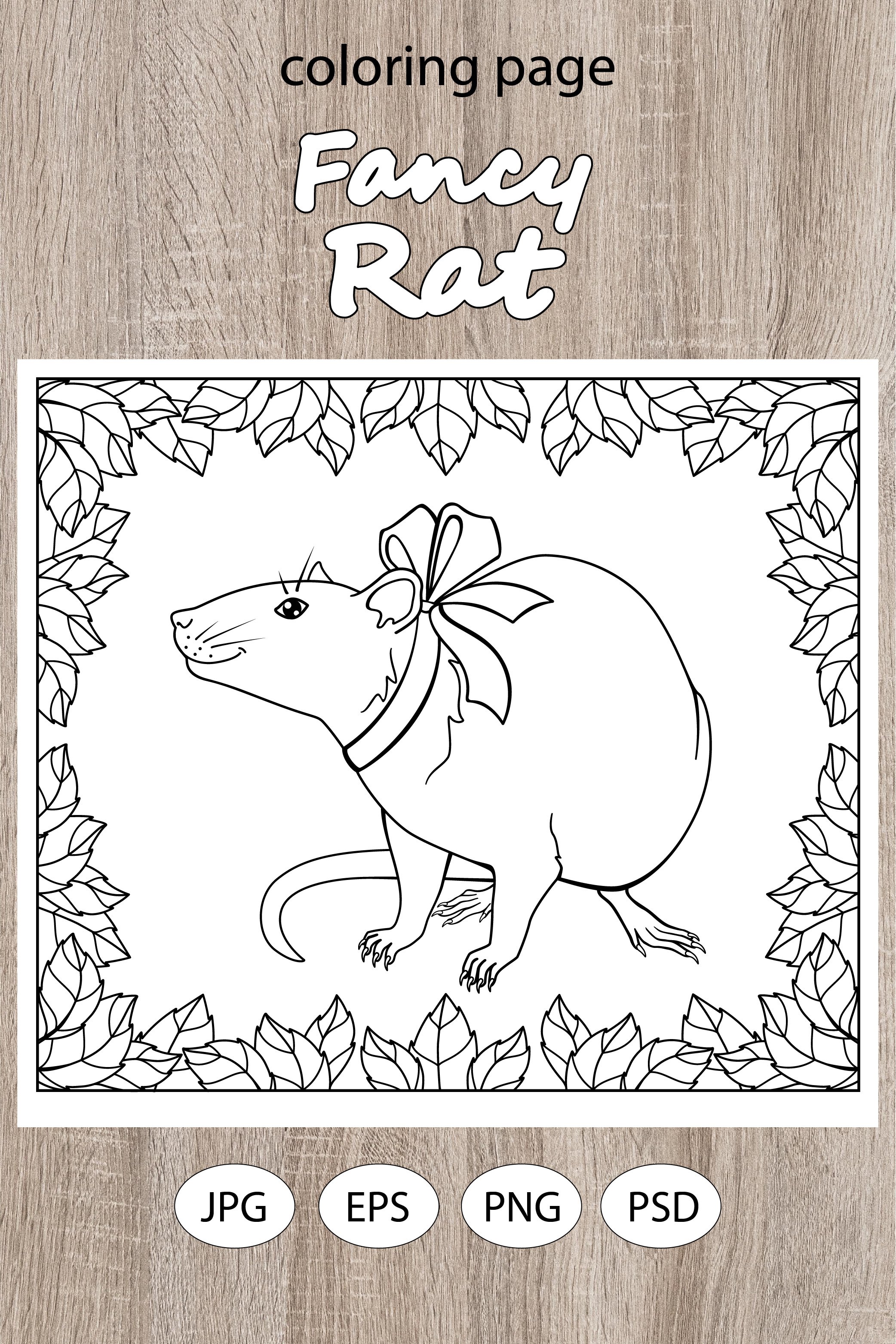 Fancy Rat - coloring page