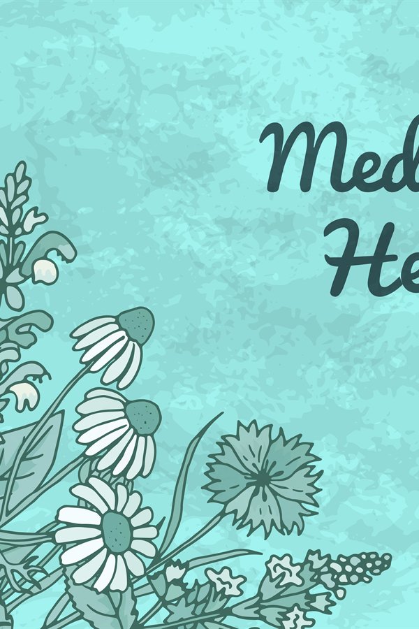 Vector hand drawn medical herbs background with (873120)