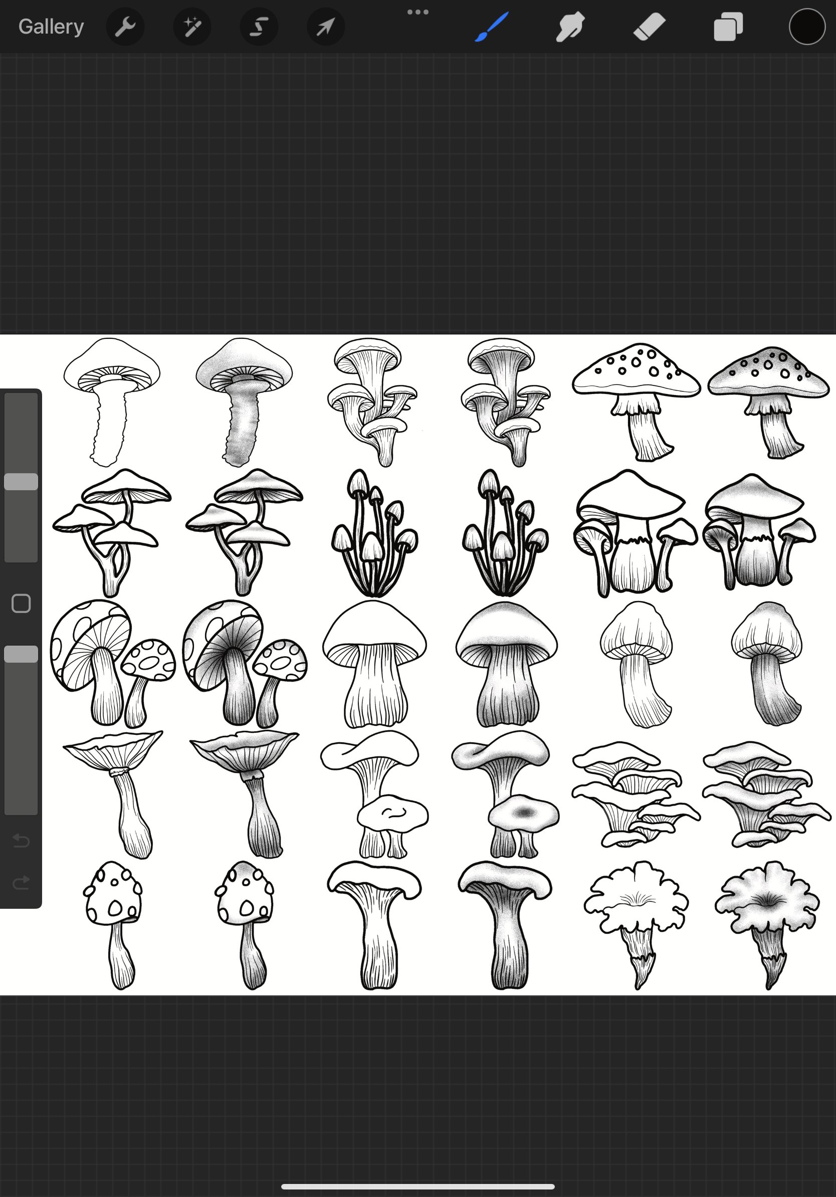 Mushrooms Set 1 Procreate Brush Stamps, 30 Mushrooms