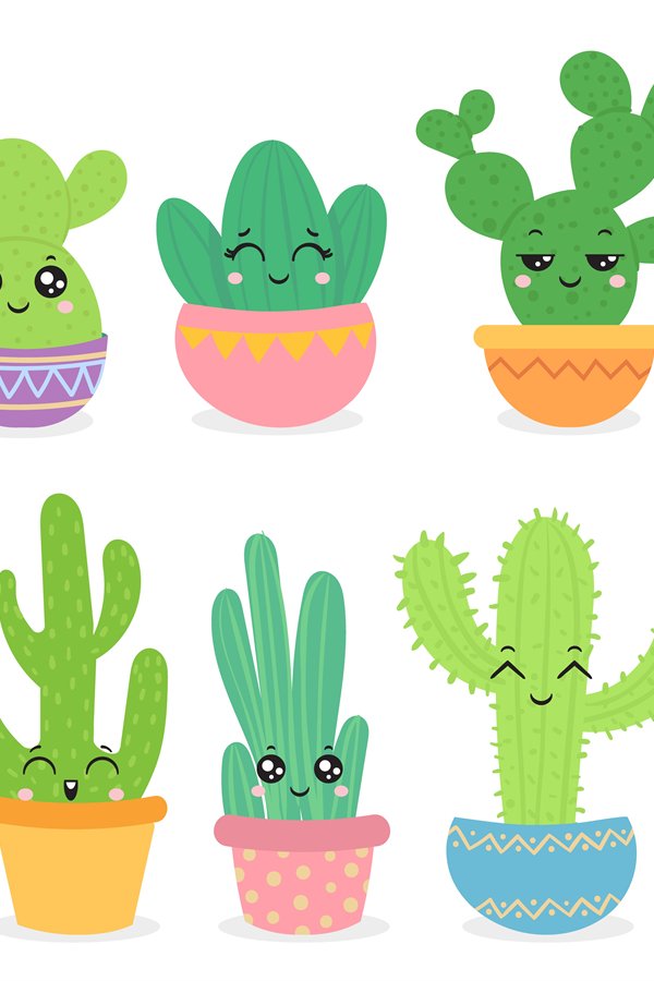 Cartoon cactus. Cute succulent or cacti plant with happy fun