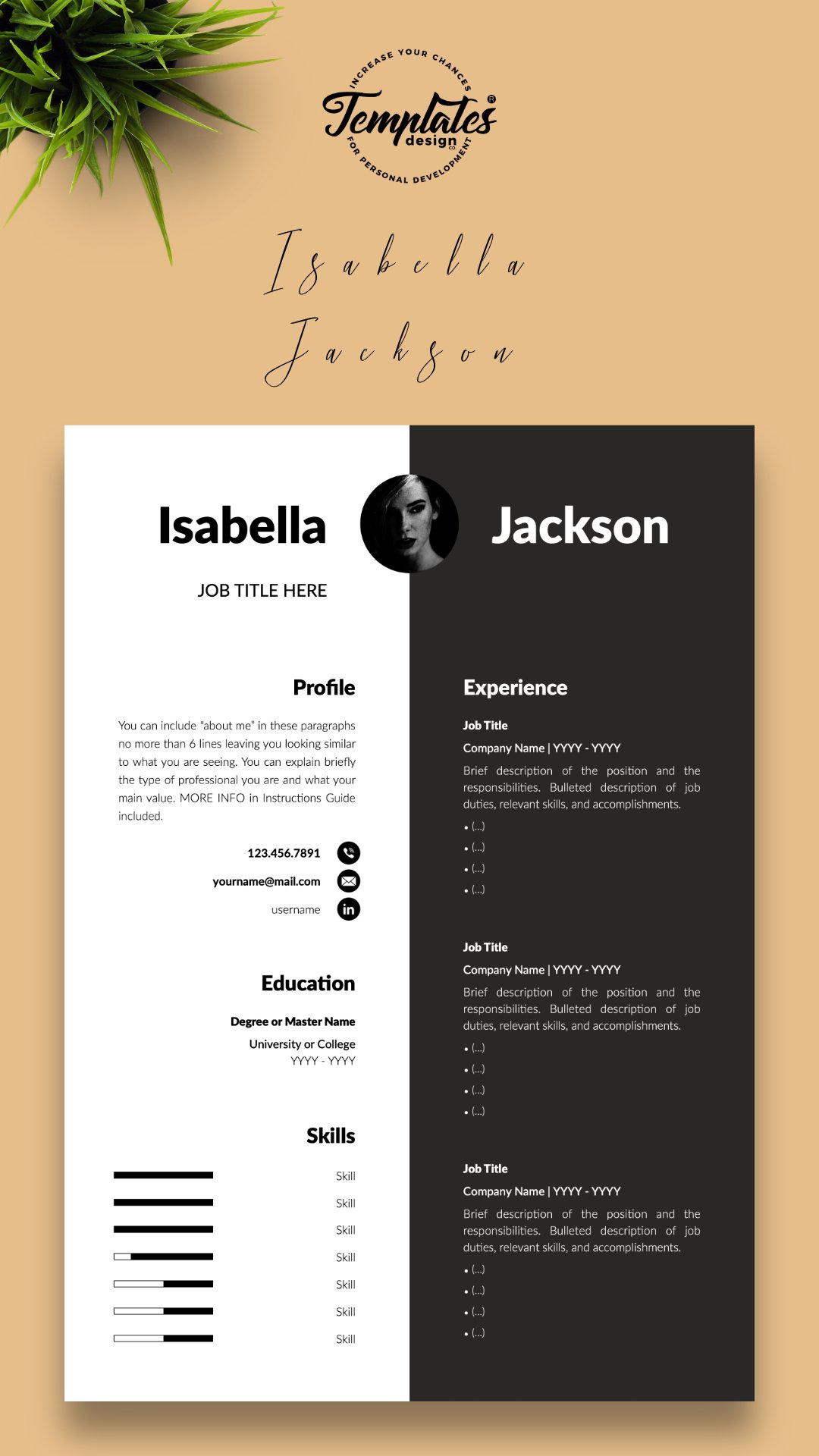 Modern Resume CV Template for Word & Pages (739002)
