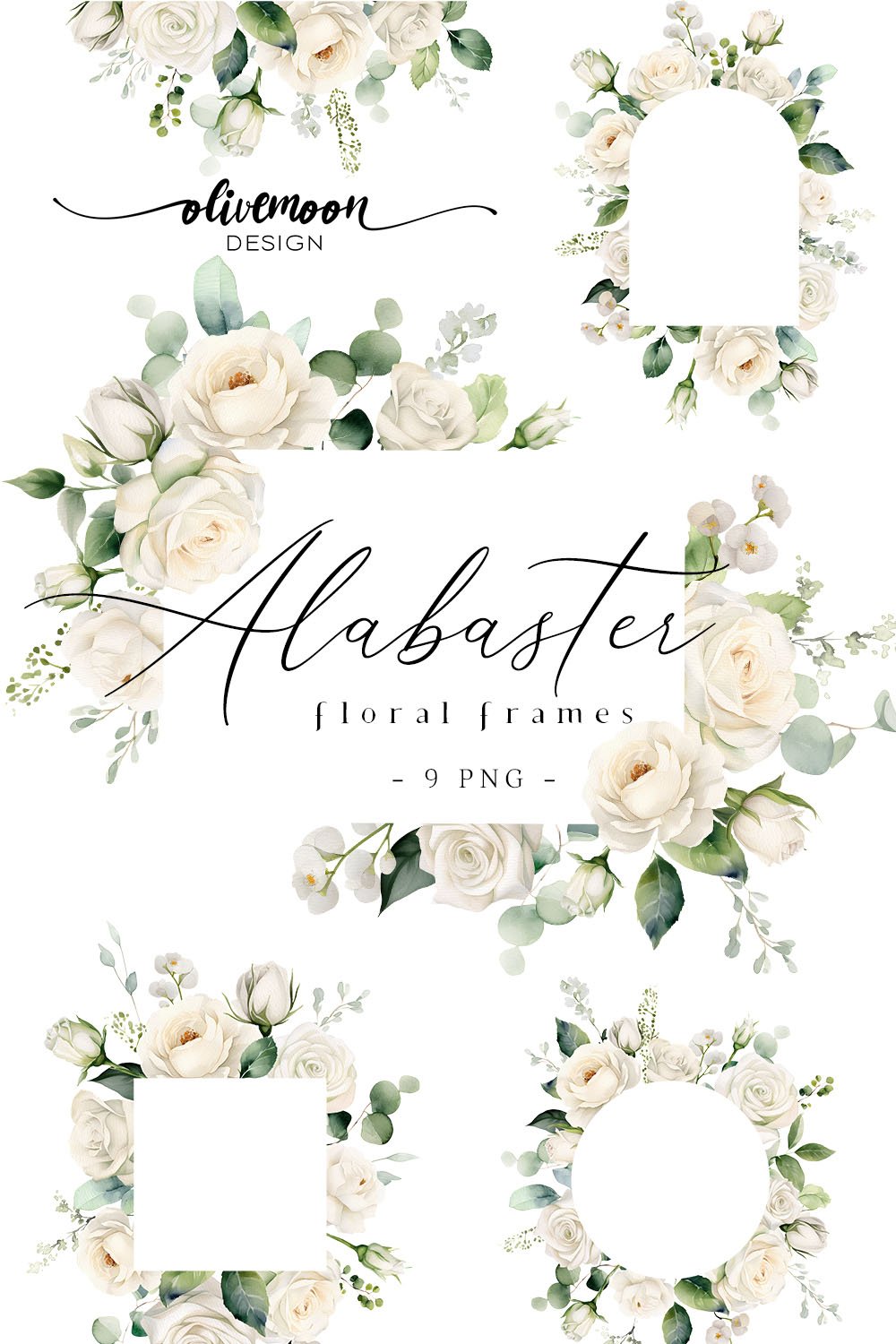 Cream White Roses Floral Frames Clipart Ivory Borders PNG