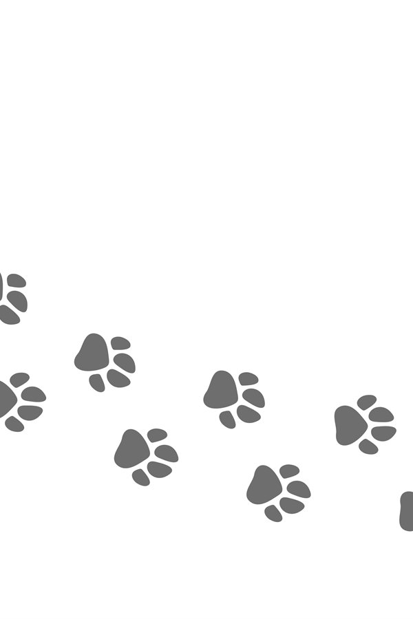Footpath trail of Dog or cat paws print vector isola