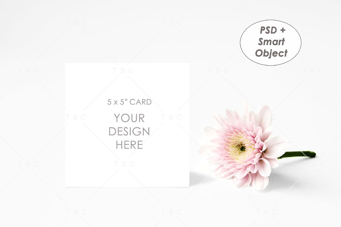 5" x 5" Card Mockup / Square Card / Invitation (1160848)