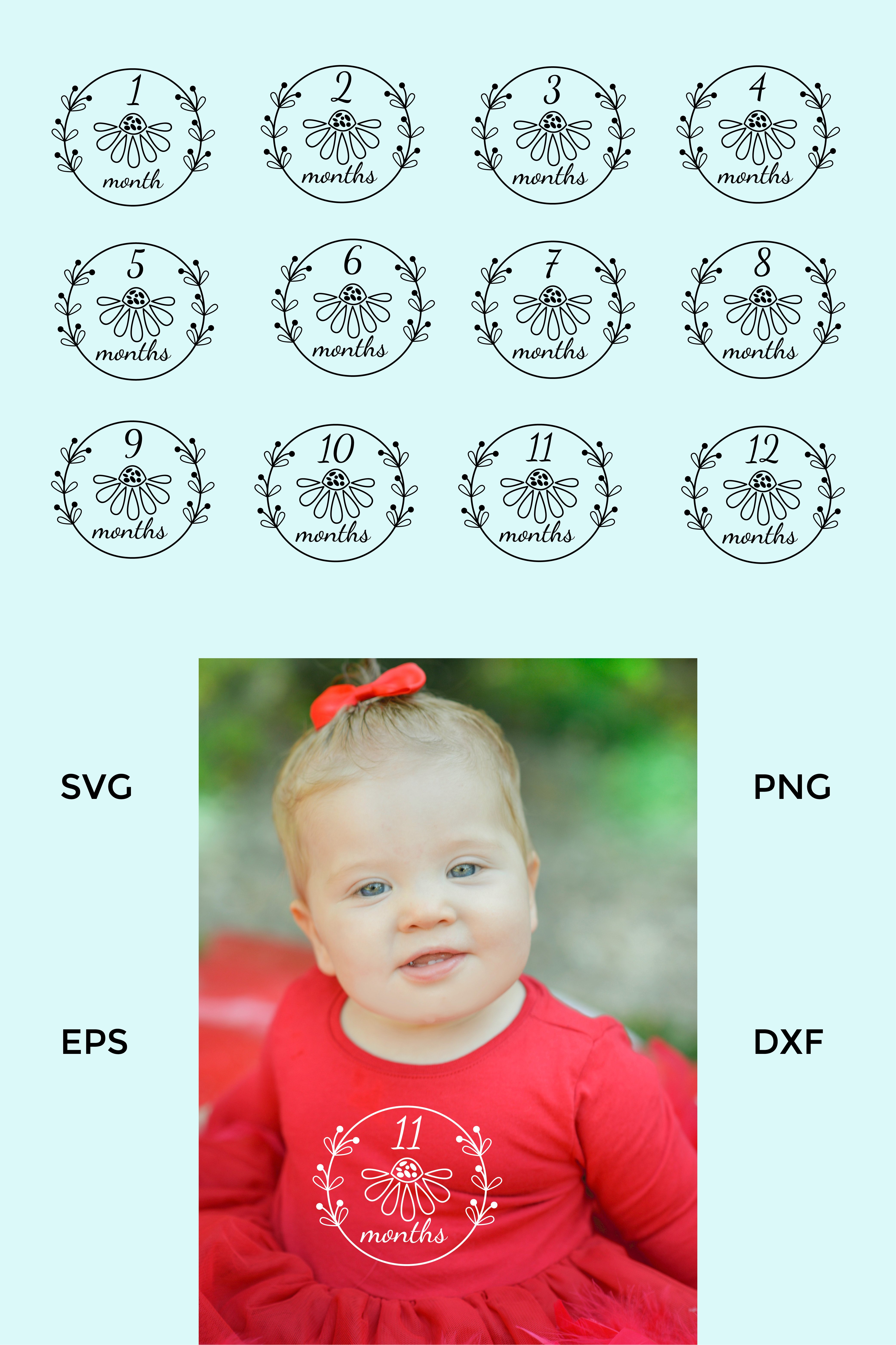 Baby Monthly Milestone Wreath SVG. Baby Milestone SVG