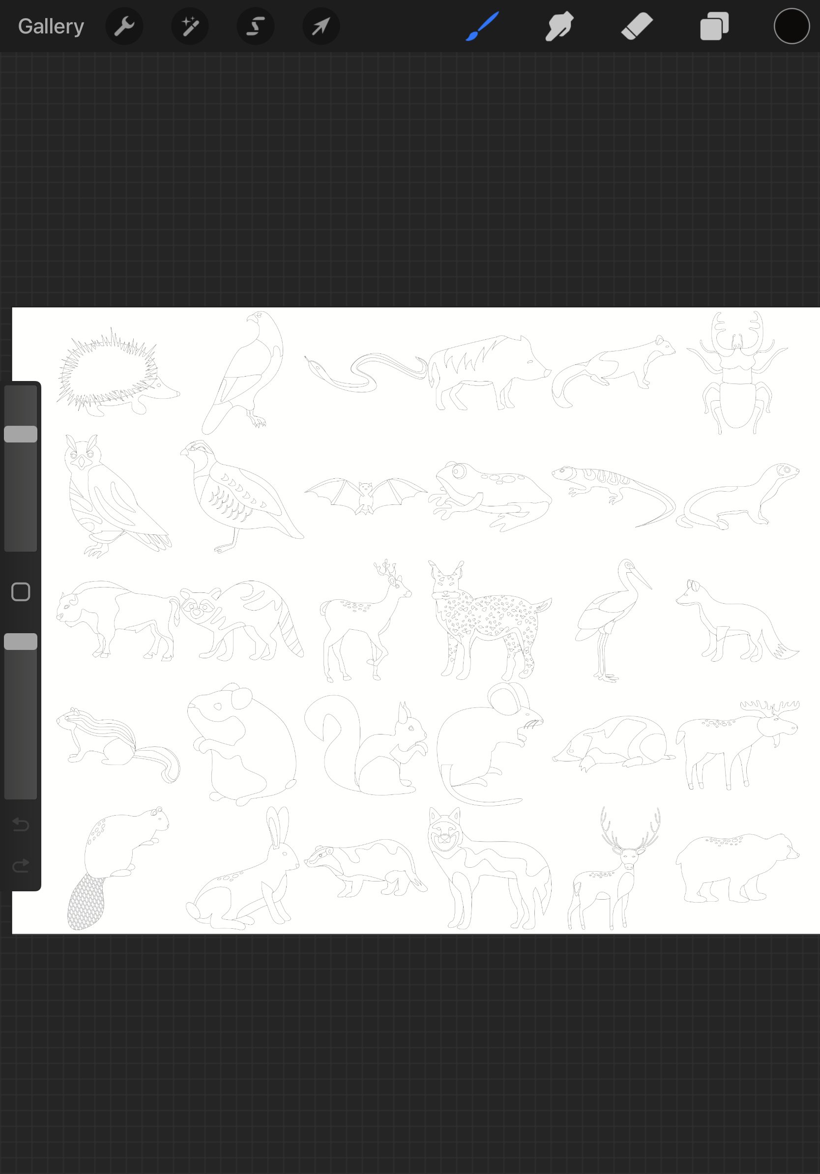 Forest Animals Outlines Set 1 Procreate Brush Stamps, 30