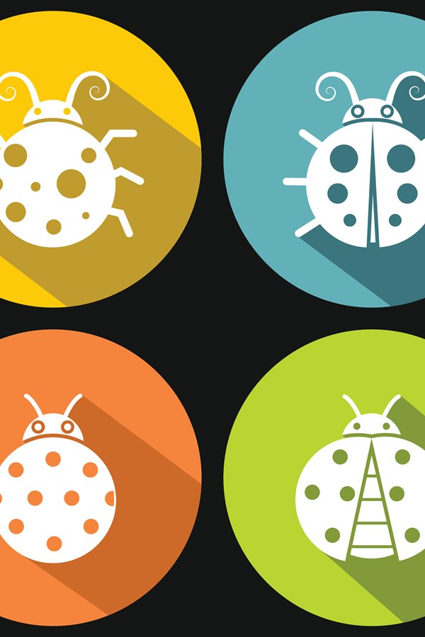 Ladybugs on yellow background with shadow