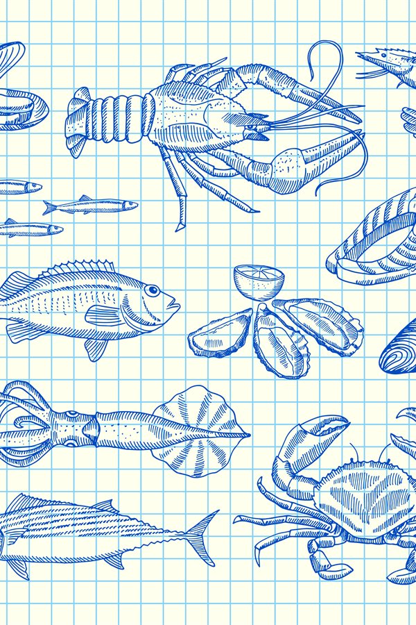 Vector hand drawn seafood elements set