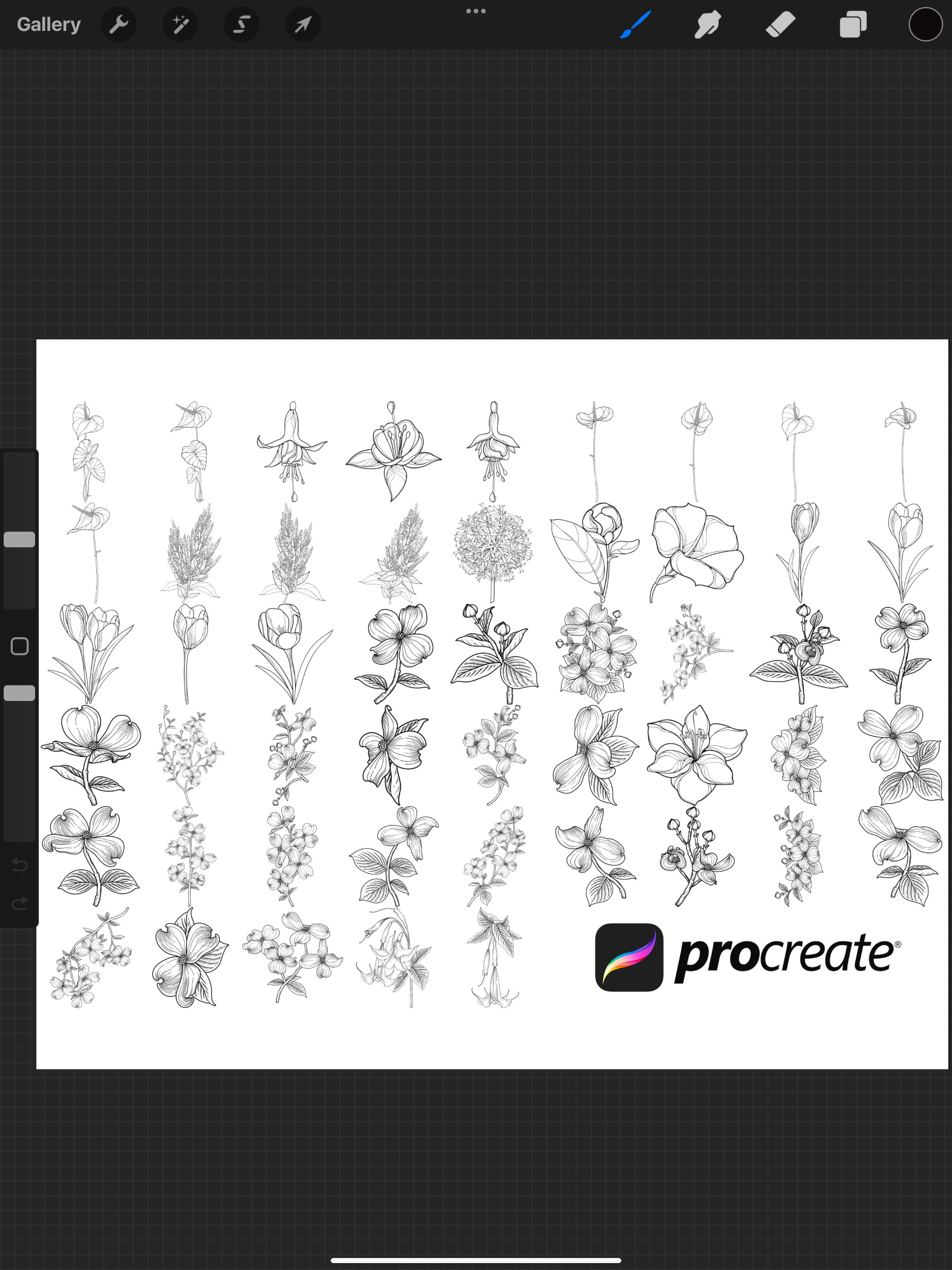 Floral Flower Set 16 Procreate Brush Stamps, 50 Floral Stamp