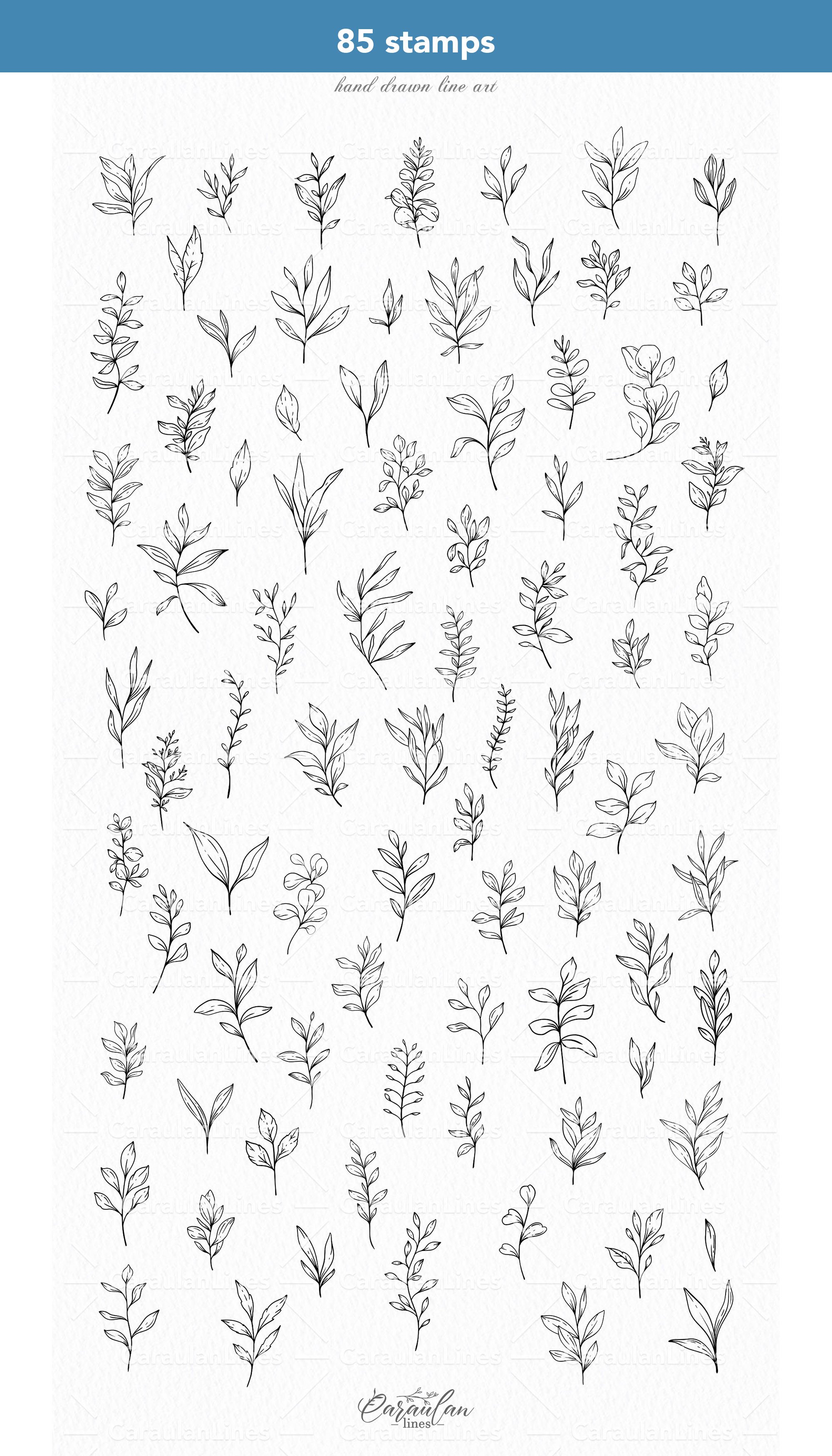 Procreate floral stamps, Greenery procreate stamps