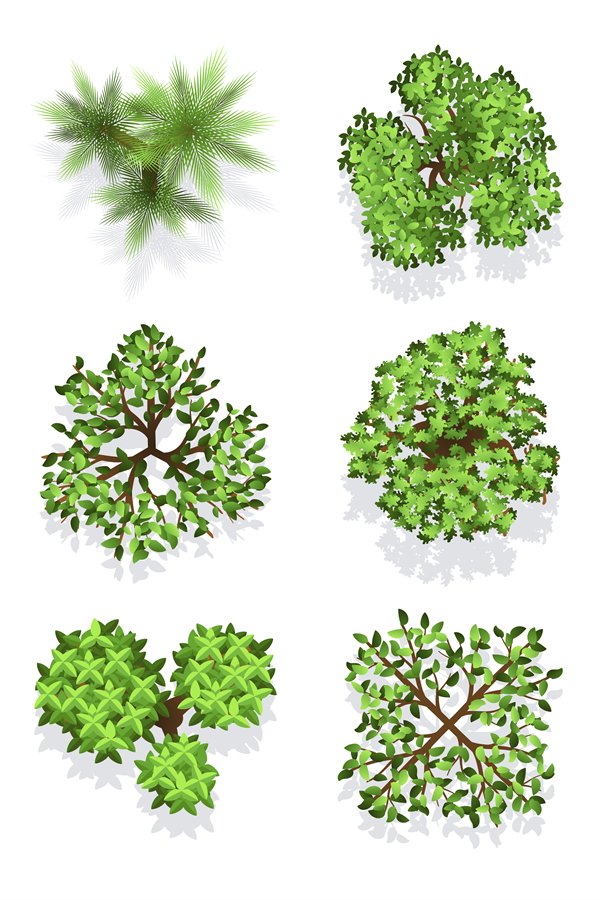 Top view tree collection - green foliage isolated on white b