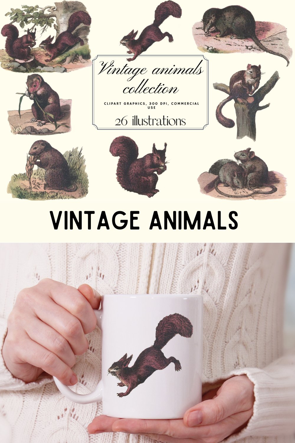 Vintage Mouses, Forest Animals, Natural History