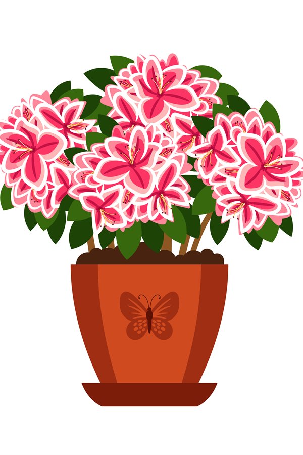 Azalea hoseplant icon